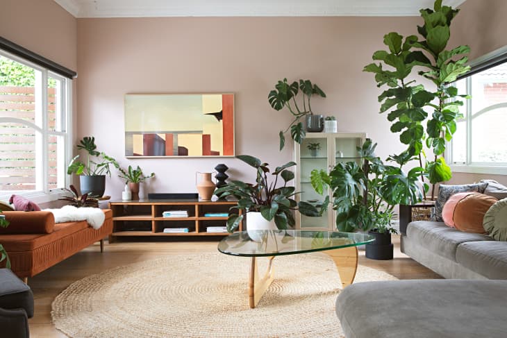 Jute house discount